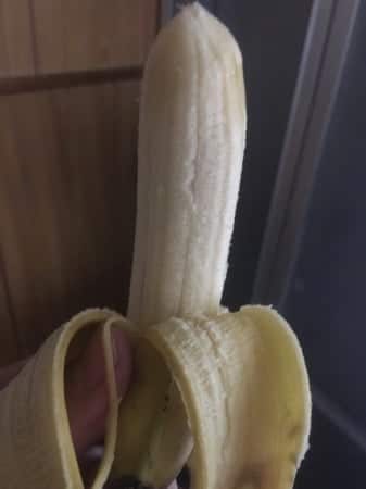 20161115-banana-9
